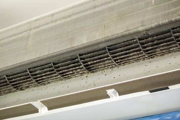 Best HVAC System Cleaning  in Destrehan, LA